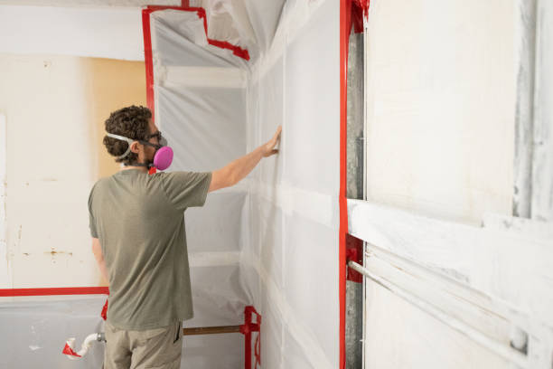Best Mold Removal for HVAC Installations  in Box Elder, SD