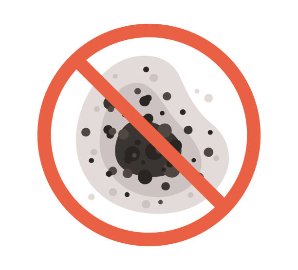 Reliable Box Elder, SD Mold Removal Solutions