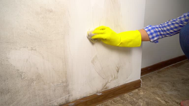 Best Comprehensive Air Testing for Mold Contaminants  in Box Elder, SD