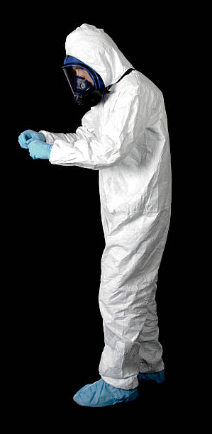 Best Basement Mold Removal  in Box Elder, SD