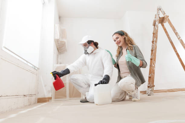 Best Post-Construction Mold Inspection  in Box Elder, SD