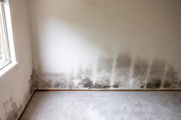 Best Indoor Air Quality Assessment  in Box Elder, SD